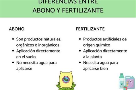 Descubre las Funciones de los Fertilizantes Guía Completa eco360