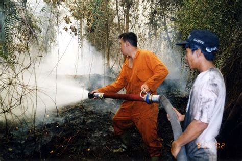 Panduan Pengendalian Kebakaran Hutan Dan Lahan Gambut Wetlands