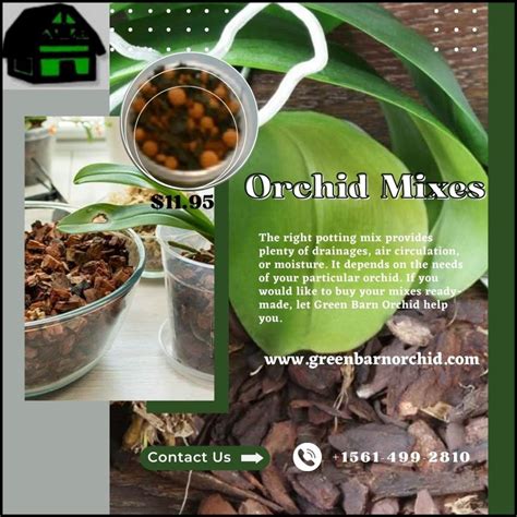 Use Top Quality Orchid Potting Mixes For Vigorous Orchids Green Barn Orchid Supplies