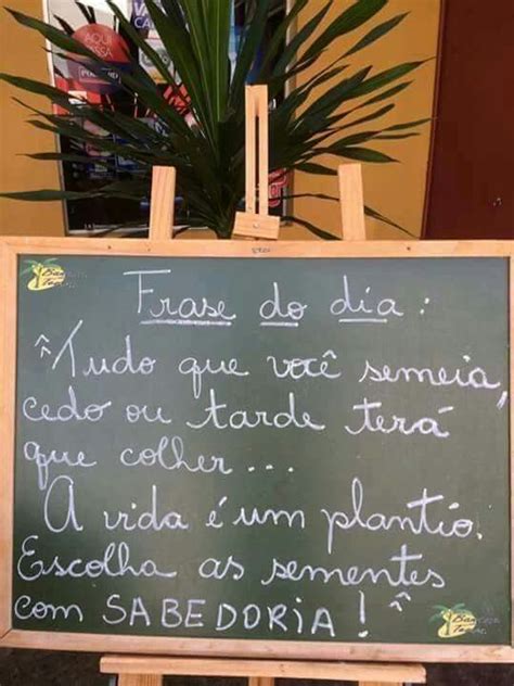 A gente colhe o que a gente planta Oração do espírito santo Frases