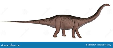 Dinosaurio Del Apatosaurus Que Camina D Rinden Stock De Ilustraci N