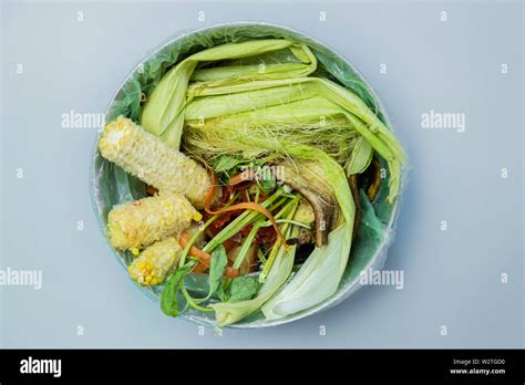 Les Déchets Alimentaires Organiques Dans Un Seau Tourné à Partir De Ci