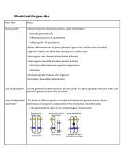 Bionote3 1 Pdf Mendel And The Gene Idea Main Idea Notes Study