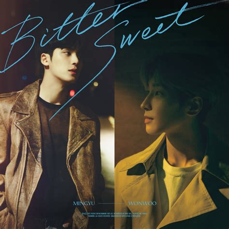 Watch Seventeens Wonwoo And Mingyu Sing Of Bittersweet Emotions In