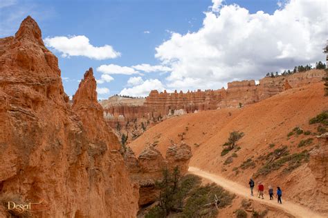 2 Day Bryce Canyon And Hot Springs • Desert Solitude