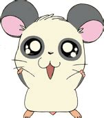 Hamtaro Ham Ham Heartbreak Part Meet The Hams Part Ix Radar