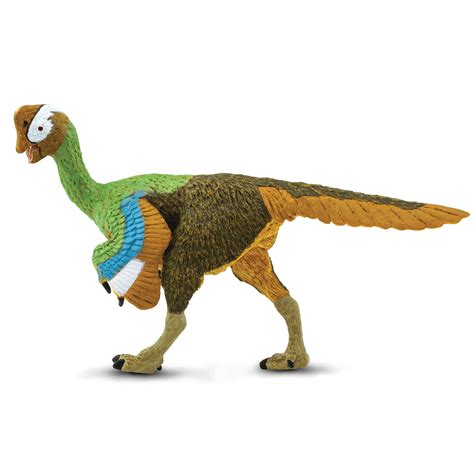 Citipati Dinosaur