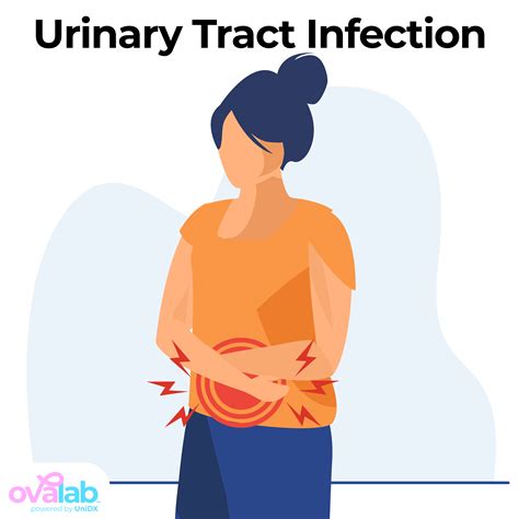 Cystitis Concept Icon Urinary Tract Infection Idea Thin Line Clip