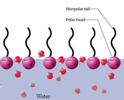 Limpieza con surfactantes | Estudyando