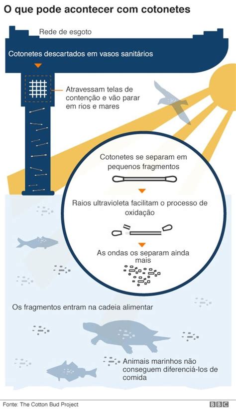 Publicados Brasil Cinco Gráficos Que Explicam Como A Poluição Por Plástico Ameaça A Vida Na Terra