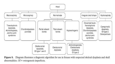 Skeletal dysplasia musculoskeletal radiology | PPT