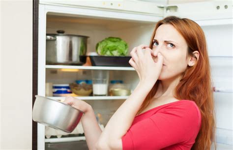 Tips For Eliminating Odors From The Refrigerator Love 4 Cleaning The Blog