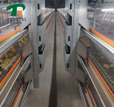 Galvanized Welded Wire Mesh Machine Layer Poultry Farm Equipment System