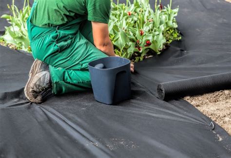 The Best Weed Mats For 2023 Garden Gate Reviews