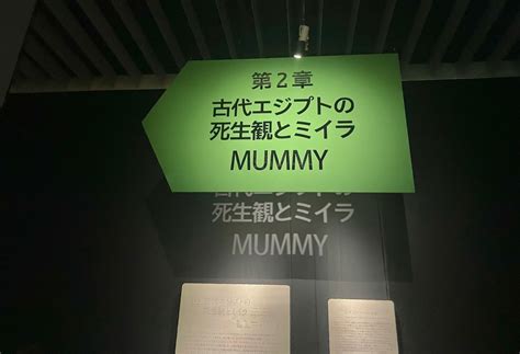 「第2章 古代エジプトの死生観とミイラ」~古代エジプト人は「死」をどのように捉えていたのか。~｜𝐑𝐞𝐜𝐚𝐥 りかる