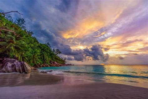 The Ultimate Praslin Travel Guide — The Discoveries Of