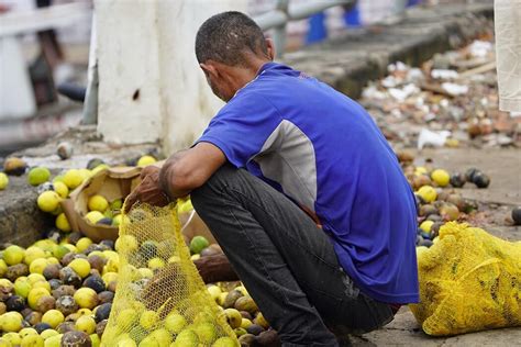 O Que Inseguran A Alimentar Confira Dados Da Onu No Mundo