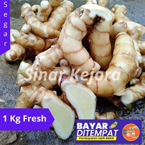 Jual Temu Putih Kunyit Putih Segar 1Kg Curcuma Zedoaria Temu