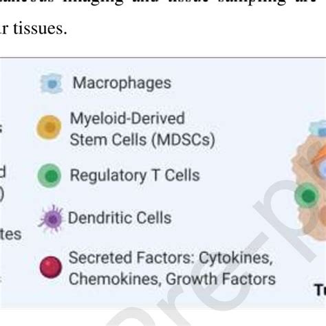 Composition Of The Tumour Microenvironment The Tme Is Composed Of A