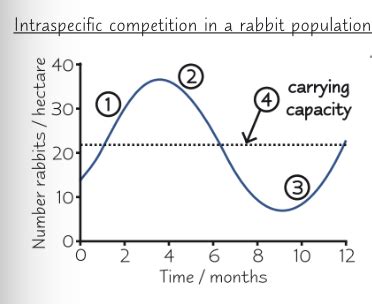 Biology Module Populations And Sustainability Flashcards Quizlet