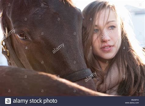 Beauty Of Horses High Resolution Stock Photography And Images Alamy