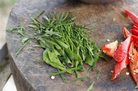 Best Substitutes For Galangal Substitute Cooking