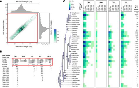 Frontiers Tsw A Case Study On Structure Function Puzzles In Plant