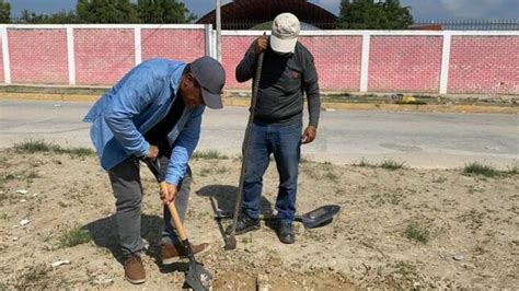 Vecinos Y Municipalidad De Sullana Reforestan Plataforma De Jes S Mar A