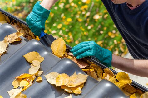 Garten Im Herbst Das Steht Jetzt An So Muss Das