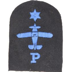 Wrns Fleet Air Arm Radio Radar Plane R Star Naval Insignia