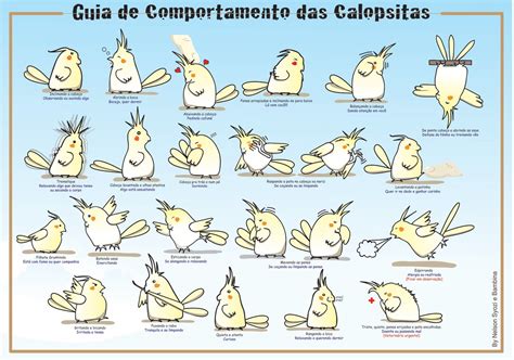 Guia De Comportamento De Calopsitas Cockatiel Cockatiel Care Crazy Cats