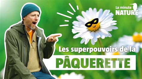 Les superpouvoirs de la pâquerette No 375 YouTube