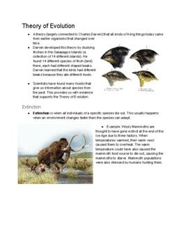 Evolution Natural Selection Middle School Study Guide TPT