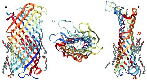 3D Structure Of The Plasminogen Activator Pla From Yersinia Pestis