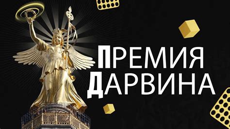 Что такое премия дарвина? - YouTube
