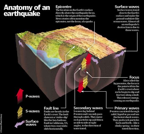 Labeled Earthquake Diagram At Jose Viola Blog