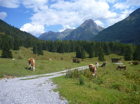 Bergtour Lechtal Zwischen Allg Uer Und Lechtaler Alpen