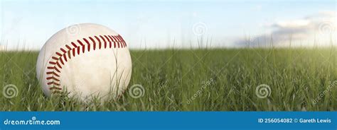 Baseball In The Grass On A Summers Day 3d Render Stock Illustration