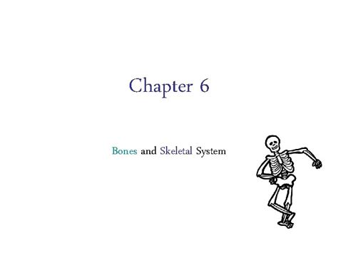 Chapter 6 Bones And Skeletal System Classification Of