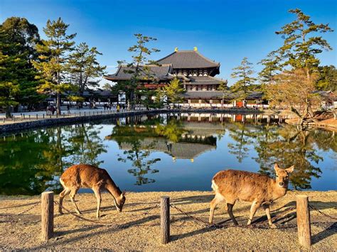Shikoku Secrets: enchanting landscapes from coastlines to countryside ...