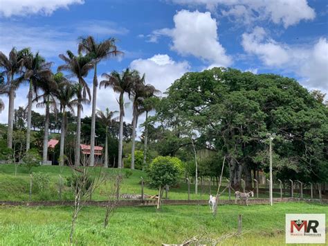 Ch Cara Para Venda Em Monte Si O Mg Mococa Dormit Rios Su Te