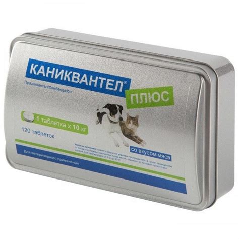 Каниквантел для кошек: инструкция по применению таблеток от глистов ...