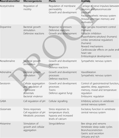 Some Representative Functions Of Neurotransmitters In Different