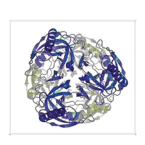 Heat Labile Uracil Dna Glycosylase