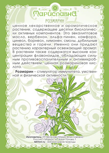 Розмарин (трава) купить / Лекарственные травы / фитомагазин Мариславна