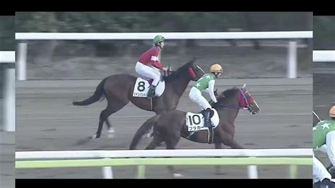 地方競馬ライブ 大井競馬 笠松 競馬動画まとめ