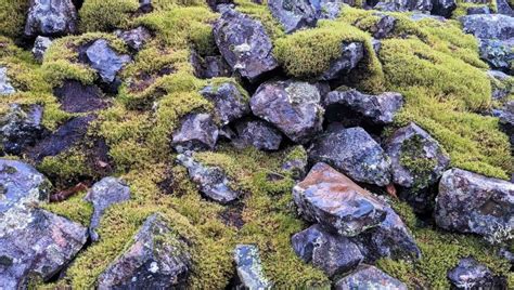 Igneo Infrastructure Partners On Linkedin Igneo Refinances Green
