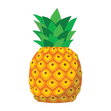 Pineapple Vector