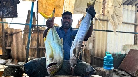 TREVALLY AND SHEELA BARRACUDA FISH CUTTING BY MINNAL RAJA HD VIDEO