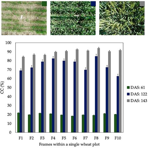 Canopy Cover CC Values For 10 Frames Within A Single Wheat Plot On